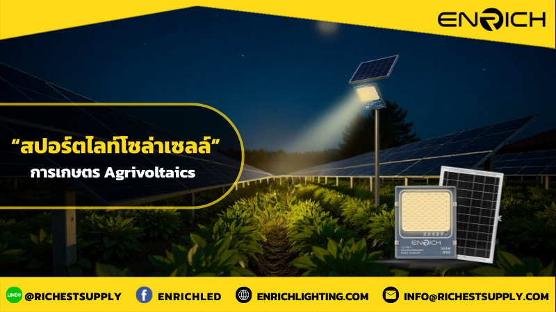 โคมไฟสปอร์ตไลท์โซล่าเซลล์LED กับการเกษตรแบบ Agrivoltaics
